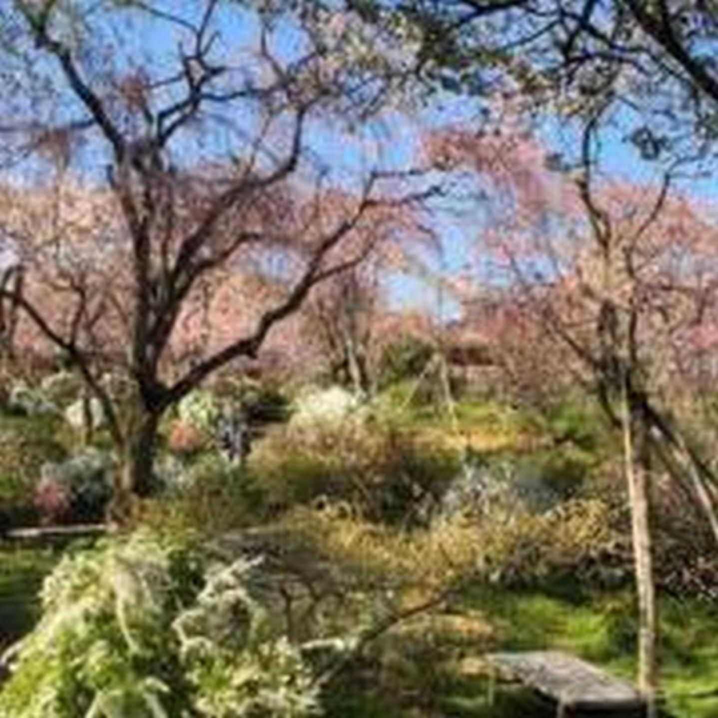 大阪市むつみ庵此花601アパートメント エクステリア 写真