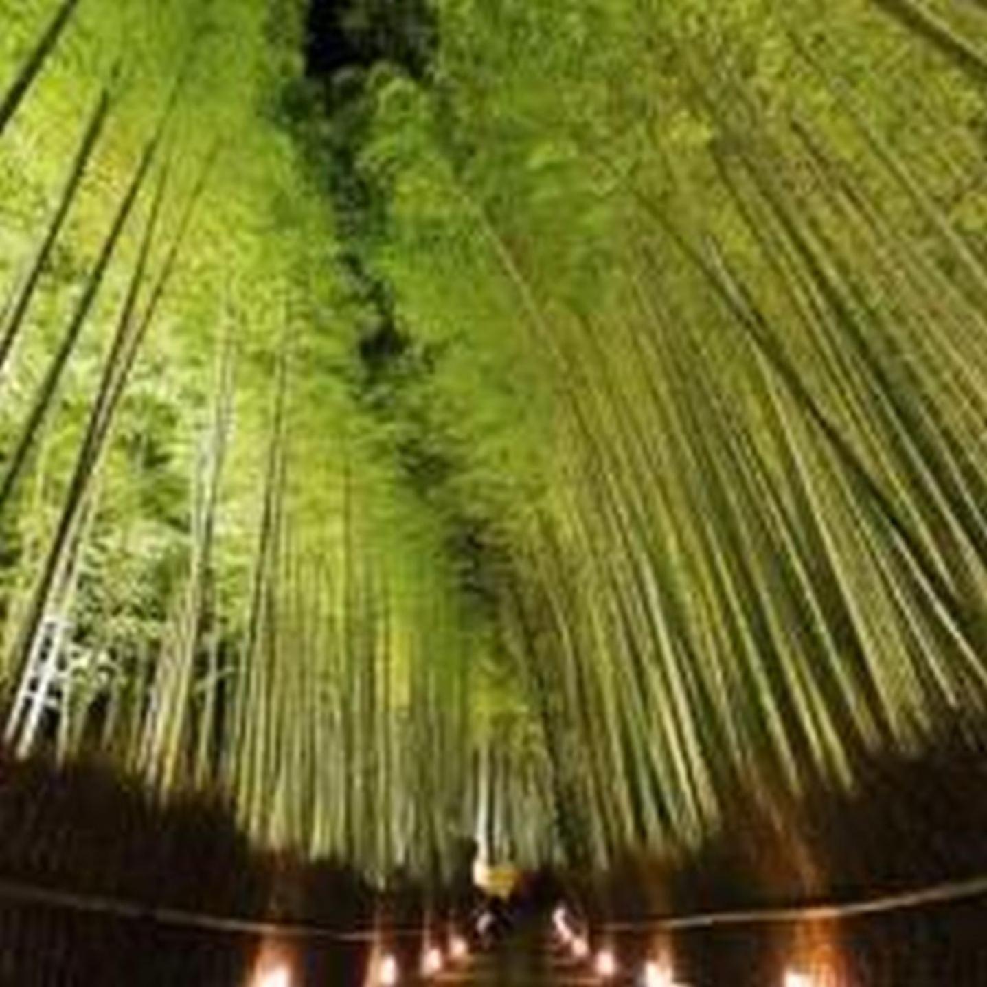 大阪市むつみ庵此花601アパートメント エクステリア 写真